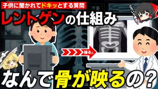 レントゲンはなぜ体を透かして骨だけ映すことが出来るのか？【ゆっくり解説】