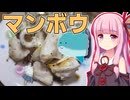 茜ちゃんが作るマンボウの塩焼き【VOICEROIDキッチン】