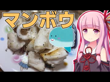 茜ちゃんが作るマンボウの塩焼き【VOICEROIDキッチン】