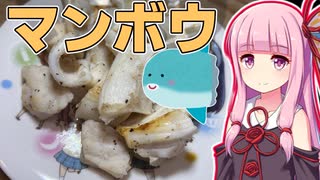 茜ちゃんが作るマンボウの塩焼き【VOICEROIDキッチン】