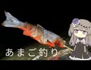 ひまりさんと釣旅：渓流で美しいアマゴを求めて