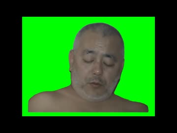 白イルカ(淫夢)GB
