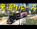 【American Truck Simulator】ペーパー歴10年がボンネットトラックでカリフォルニア観光（#162）【実況プレイ】