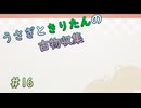 【Dungeon Antiqua】うさきりの古物収集#16【うさきり実況】