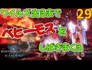 ワイルズ出るまでベヒーモスをしばきまくる。29