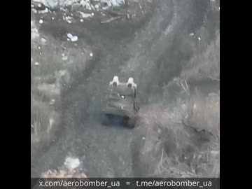 ホモと見る調子が悪いゴルフカート