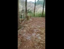 山道を歩いて運動21 (1080p)