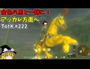 【ゆっくり実況】初めてのティアーズオブザキングダム！ part222 【ティアーズオブザキングダム】