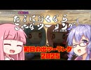 たまに行くならこんなツーリングver2.0【琴葉茜＆結月ゆかり車載動画】＃28 初日の出ツーリング2025
