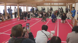 佐賀城本丸で新春恒例の「ハイハイレース」　動かない･途中で泣き出す･一気に進む赤ちゃんに家族たちが大きな声援