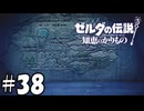 兄の足跡【ゼルダの伝説 知恵のかりもの】38
