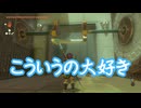 ゼルダの伝説　ティアーズ オブ ザ キングダム　実況プレイPart241