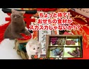 【グルーポン】スカスカおせち以外でもしくじり倒したクーポンサイト 【バードカフェ】 #猫マニ #猫ミーム