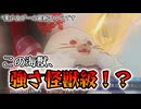 【アンアス】美少女ゲーに強い海獣参戦！？あざらしさんを紹介していきますよ～！【ゆっくり実況】