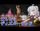 門限が決まっている男の家族旅行記　ディズニー貸切イベント編