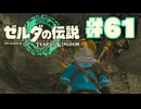 【ぽつぽつ実況 #60】ライネル【ティアーズオブザキングダム】