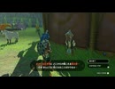 #82【ゼルダの伝説 ティアーズ オブ ザ キングダム】探している笛吹き少年の有力情報をゲット！