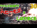 ワイルズ出るまでベヒーモスをしばきまくる。30