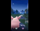 #ポケモンgo #gbl なんか強そうなパーティきた！ ガラルマッギョ マリルリ プクリン  ヨルノズク ジュゴン ライチュウ #shorts #スーパーリーグ #pokemon