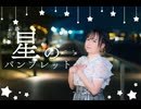 【ボボ】星のパンフレット/H△G 踊ってみた 「2024年ありがとう！❤️」