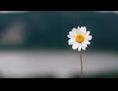 一輪の花【UTAU】