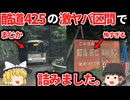 【ゆっくり車載】酷道で超重量級の対向車がきて終わった…。【国道425号】PART２