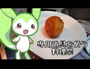 【専用道具を使う料理祭】アランチーニ【ずんだもんワールドクッキング】