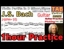 Bach - Violin Partita No. 2 in D Minor, BWV 1004: IV. Gigue【Repeart TAB】