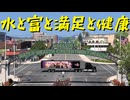 【American Truck Simulator】ペーパー歴10年が Ver.1.50 アプデで追加されたモデストの街を旅する（#172）【実況プレイ】