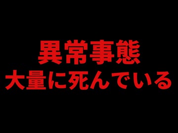 やっぱりワ●チンした後から死者が増えている、、、、、