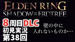 【8周目DLC初見】エルデンリングDLC 第38回【手汗かき人が逝く】