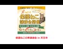 保護ねこの家譲渡会 in 天王寺