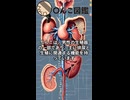 週刊〇んこ図鑑　【ち】