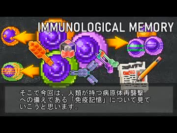【ゆっくり解説】免疫記憶