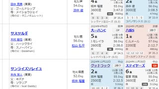 【競馬予想2024】京都金杯予想と万葉ステークス展望（翌週の展望はお休み）