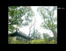【电视剧】中国媳妇系列（催泪感人）中国テレビ テーマソング OP