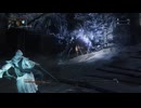 Bloodborne The Old Hunters Edition_20200802123220