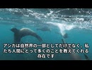 アシカの生態と驚異の知能：知られざる行動と人間との関係