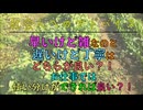 早いけど雑なのと遅いけど丁寧はどちらが良い？！お仕事では使い分けができれば良い？！