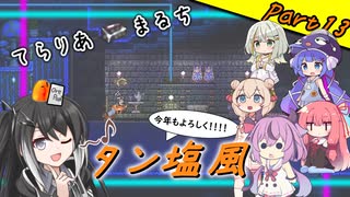 【Terraria+Thorium】てらりあまるちタン塩風 その13【ゆっくり+ソフトウェアトーク実況】