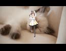 にゃんころ