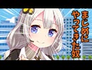 まじめにやってきた奴