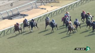 ノクターン　3歳新馬