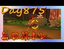 【毎日投稿】ムキ・ムキ・ムキへの道！！！【RFA負荷23】#875