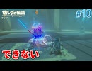 【ゼルダの伝説BotW】初めてのブレワイ！折れない心で未知の世界へ！#10【実況】