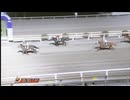2025年1月5日高知競馬7R びあんど３回目の協賛 第３回びあんど特別(C2-2組) ベルドラゴ