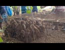 【子猿・野生】駆除ではなく移動です
