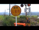 府中新踏切で撮るキハ41
