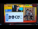 復活TORE!落下集