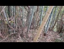 山城しんごの城めぐり　県指定文化財　見広城(千葉県旭市)　※見廣とも